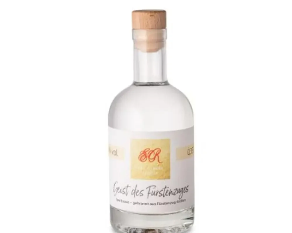 Geist des Fürstenzuges